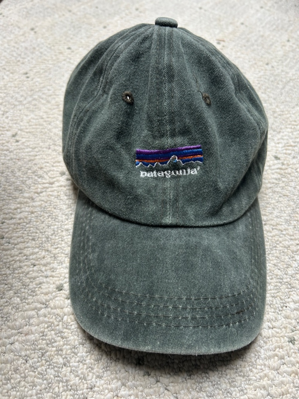 Patagonia cotton dad hat